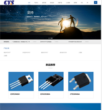 東莞市原伸微電子科技有限公司